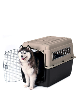 kültéri kutya kennel