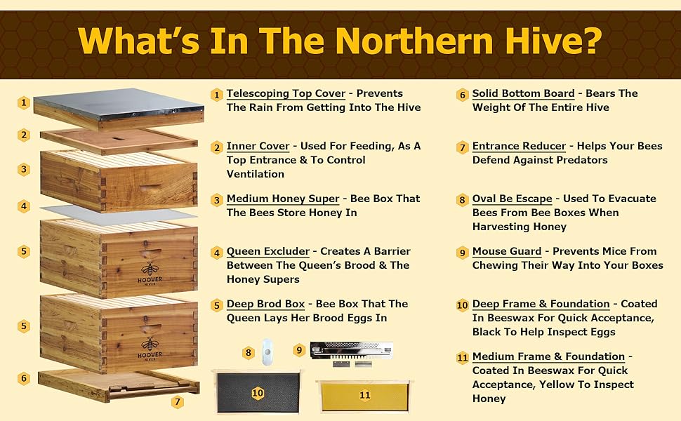 An infographic that shows this Northern Hive and Describes all of the bee hive parts and components