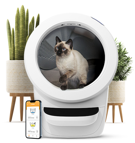 The smartest litter box