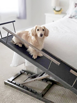 Small dog ramp for bed with safety rails for bedside, adjustable dog ramp for beds for small dogs