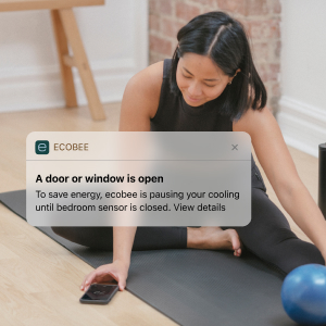 ecobee bundle, ecobee smart security, ecobee smart thermostat, smart thermostat