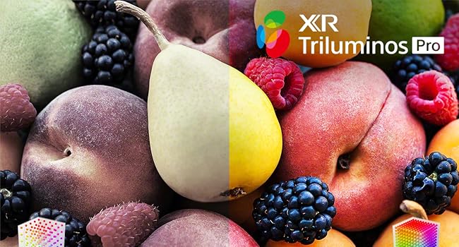 XR Triluminos Pro