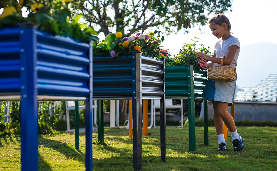 raised garden bed