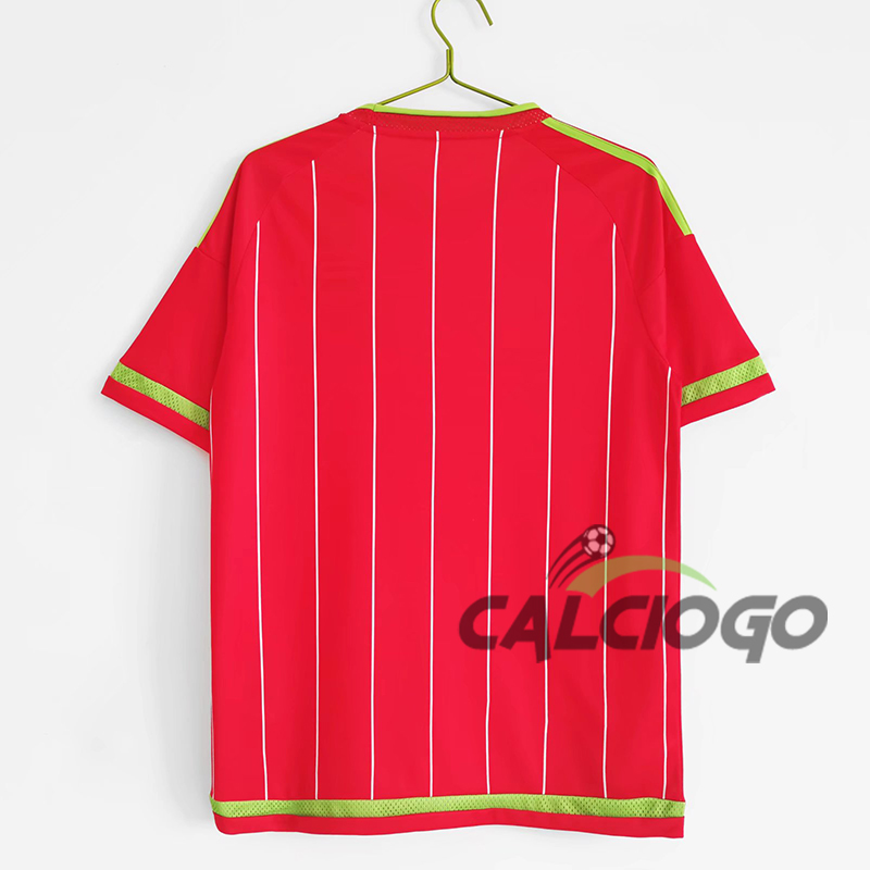 Maglia Storica Wales Home 2015-2016