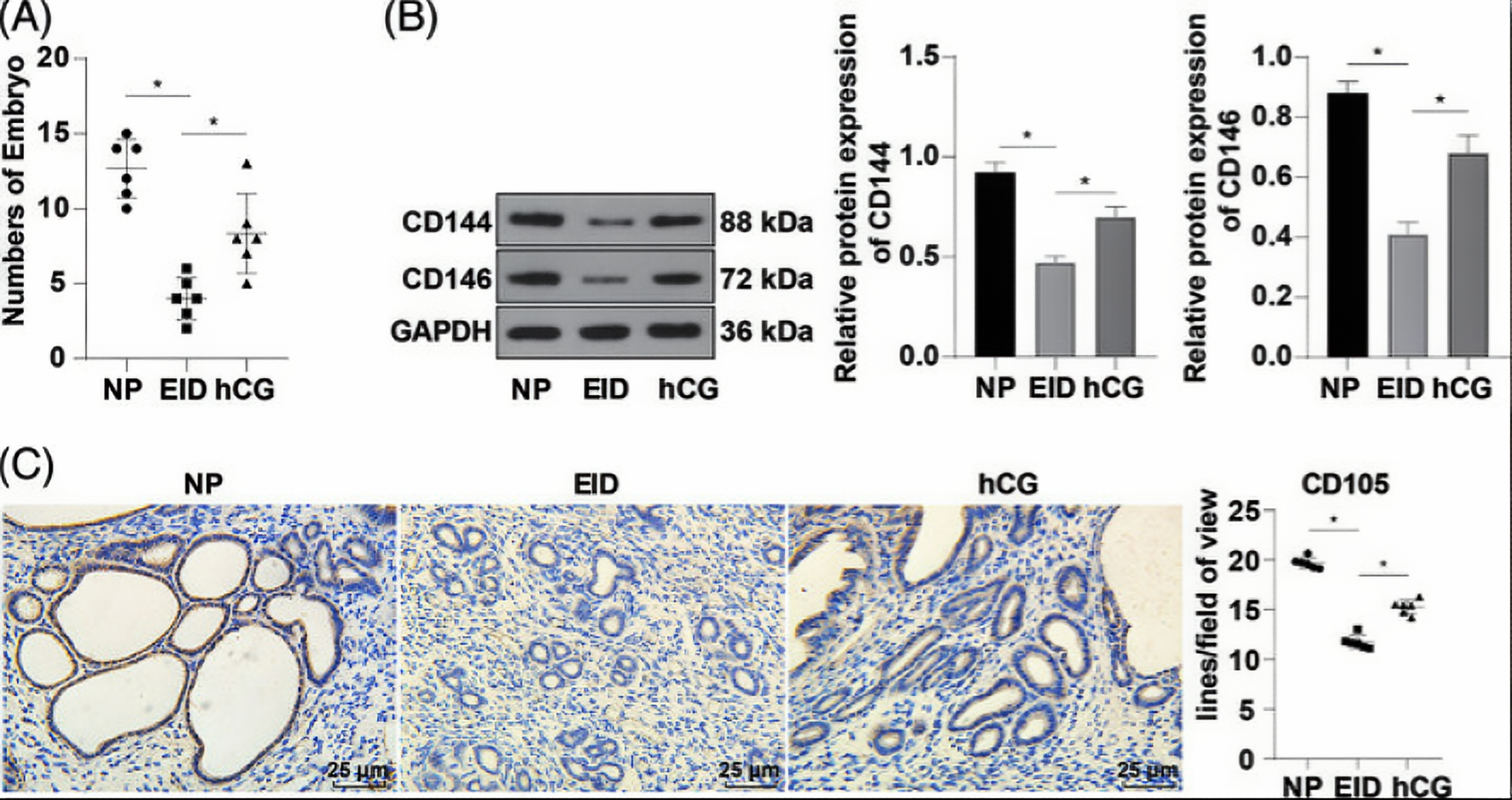 屏幕截图 2025-08-28 223010