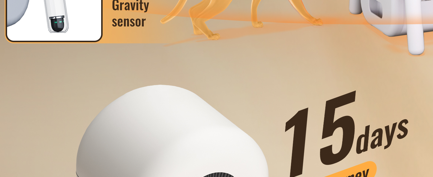 cat litter box