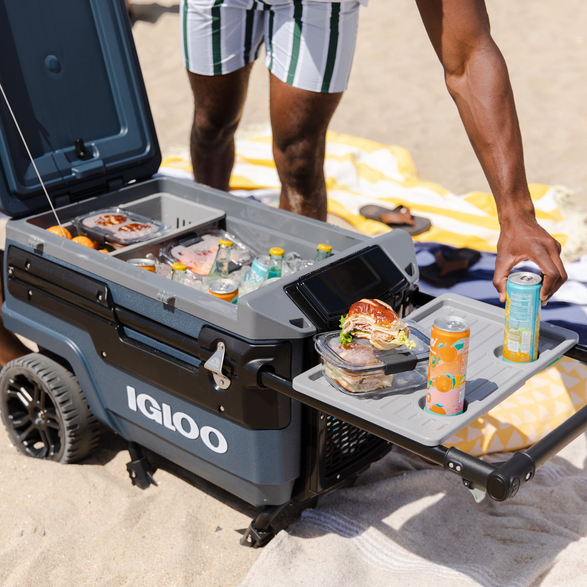 Trailmate on the beach